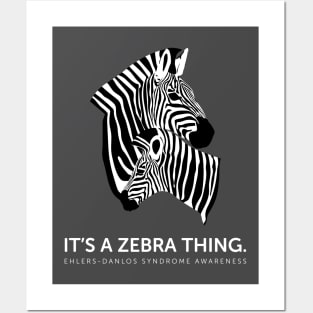 Ehlers Danlos Syndrome It's A Zebra Thing Posters and Art